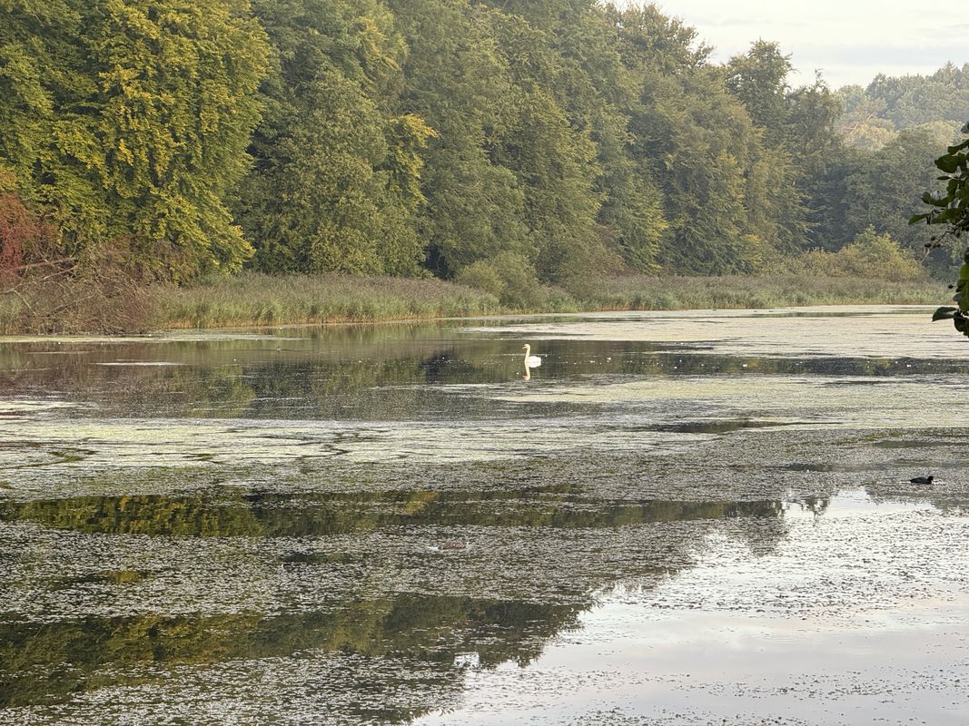 Klampenborg to Digterparken, Ballerup