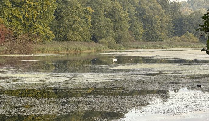 Photo 2 of the Bikemap route "Klampenborg to Digterparken, Ballerup" Photo 2 of the Bikemap route "Klampenborg to Digterparken, Ballerup"