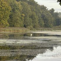 Photo 8 of the Bikemap route "Klampenborg to Digterparken, Ballerup" Photo 8 of the Bikemap route "Klampenborg to Digterparken, Ballerup"