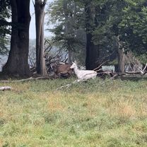 Klampenborg to Digterparken, Ballerup