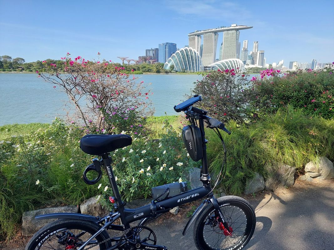 Jurong East Street to Jurong East Street