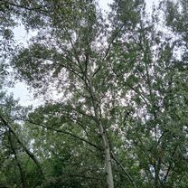 Foto 7 der Bikemap-Route "Pomalá jazda"