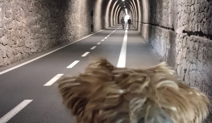 Foto 2 del percorso Bikemap "Località Pian di Picche nach Cabana"