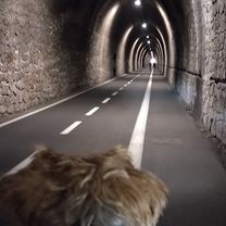 Località Pian di Picche nach Cabana