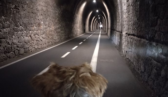 Foto 1 del percorso Bikemap "Località Pian di Picche nach Cabana"