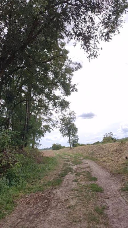 Lomená-Rebešky-Rajhrad-Židlochovice a Zpět