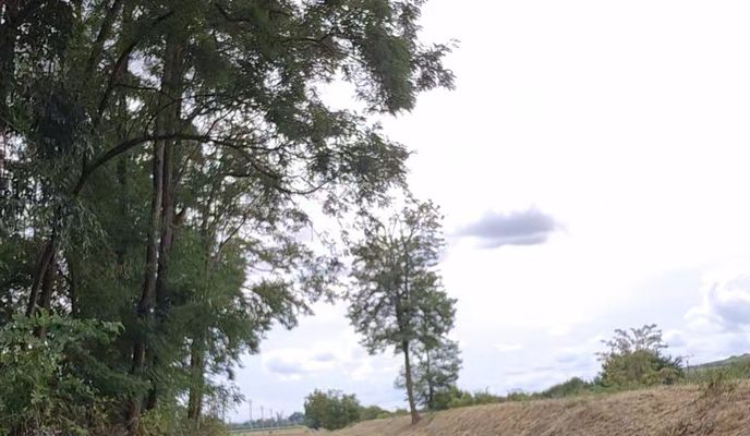 Photo 1 of the Bikemap route "Lomená-Rebešky-Rajhrad-Židlochovice a Zpět" Photo 1 of the Bikemap route "Lomená-Rebešky-Rajhrad-Židlochovice a Zpět"