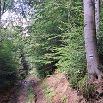 Foto 8 der Bikemap-Route "Oščadnica do Oščadnica"