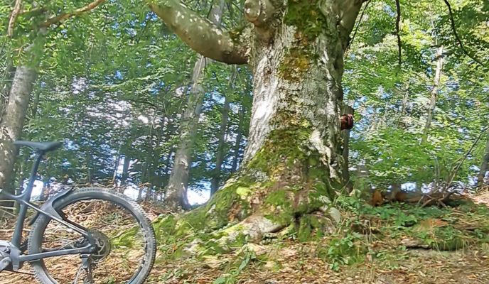 Foto 2 der Bikemap-Route "Oščadnica do Oščadnica"