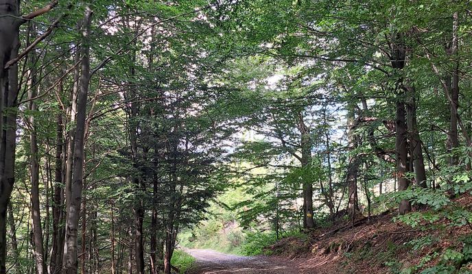 Foto 2 der Bikemap-Route "Oščadnica do Oščadnica"