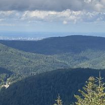 Photo 8 of the Bikemap route "Neuroder Straße, Waldbronn nach Neuroder Straße, Waldbronn"