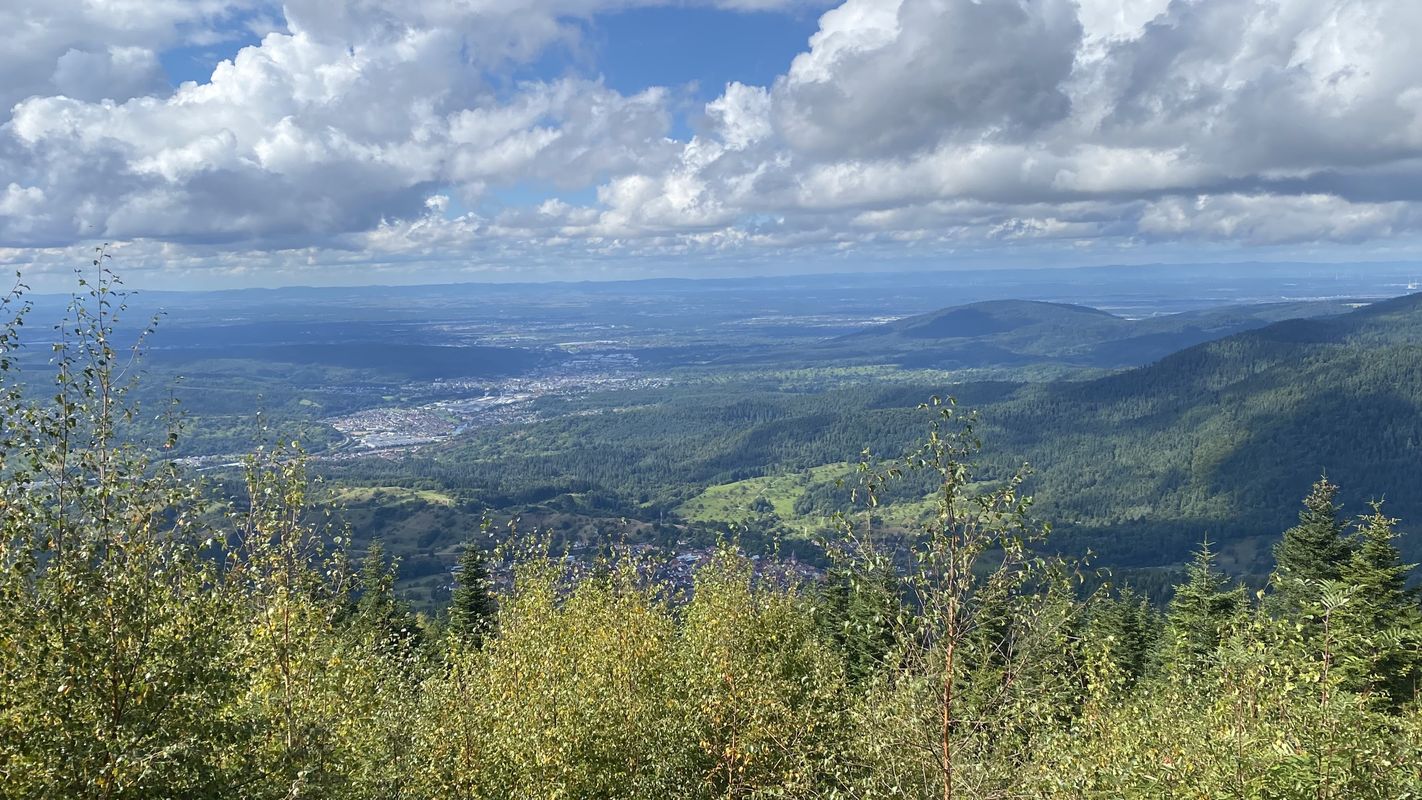 Neuroder Straße, Waldbronn nach Neuroder Straße, Waldbronn