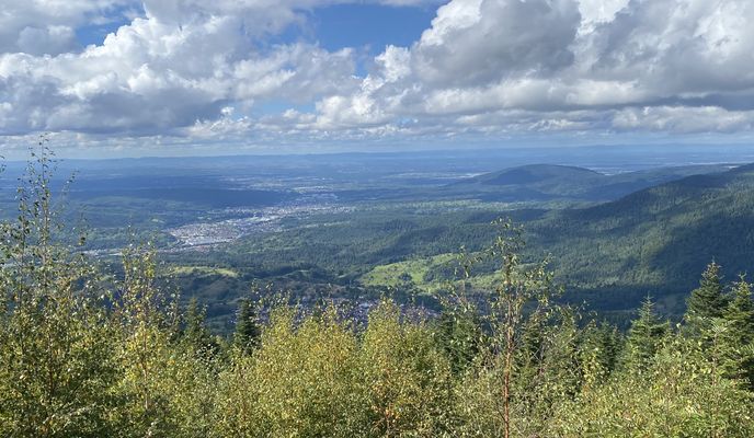 Photo 2 of the Bikemap route "Neuroder Straße, Waldbronn nach Neuroder Straße, Waldbronn"