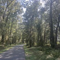 SW 16th Ave, Ocala to Cross Florida Greenway Trail, Ocala