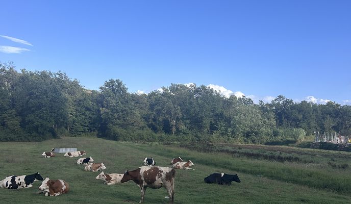 Foto 2 de la ruta de Bikemap "2ª corsa"