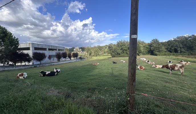 Foto 1 de la ruta de Bikemap "2ª corsa"