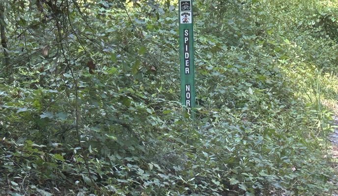 Photo 2 of the Bikemap route "Cross Florida Greenway Trail, Ocala to Florida National Scenic Trail, Ocala"