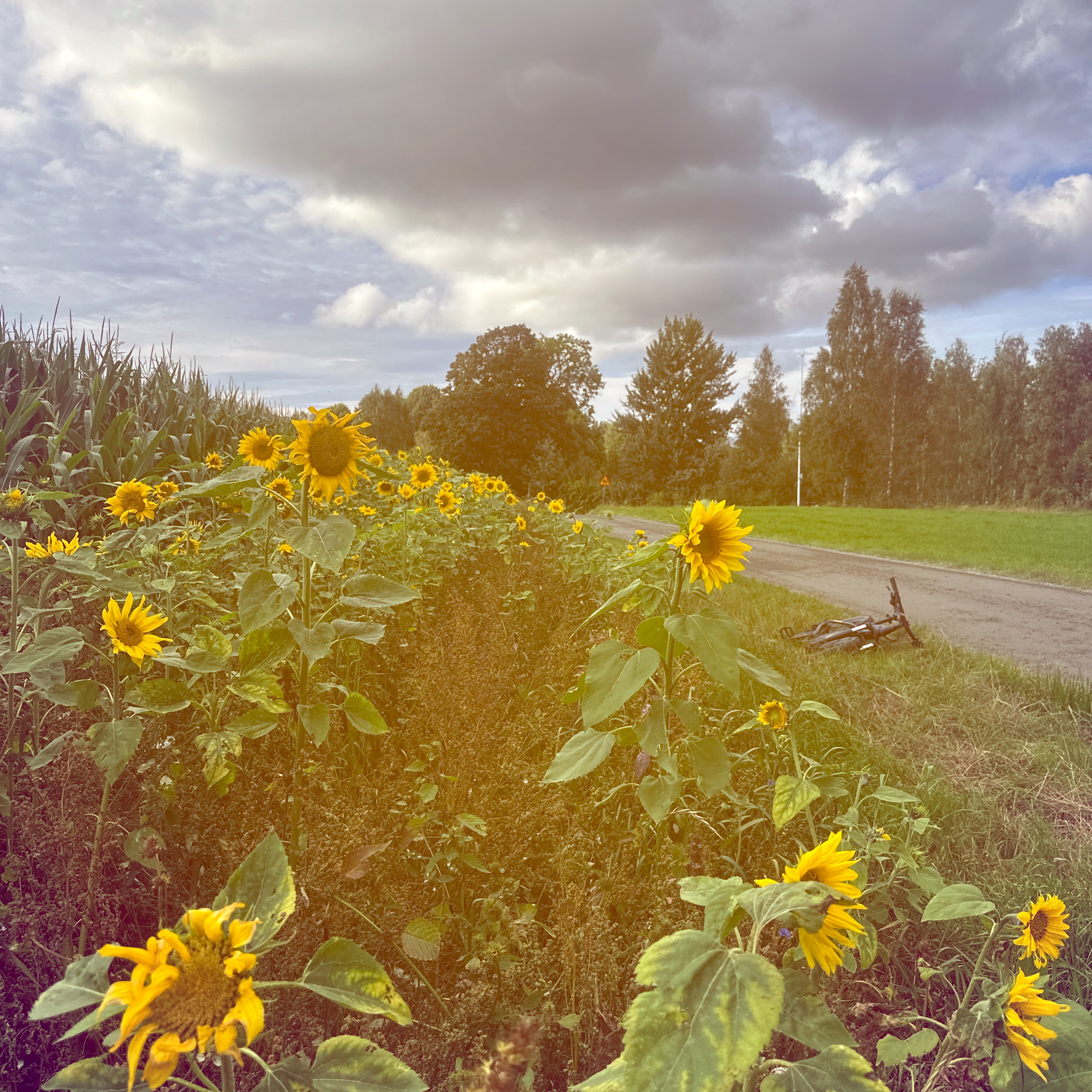 Rökslidsvägen, Finspång do De Wijks väg, Finspång
