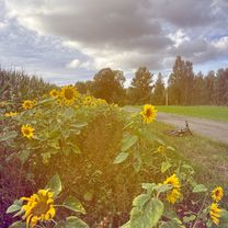 Rökslidsvägen, Finspång do De Wijks väg, Finspång