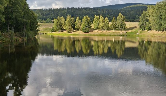 Photo 1 de l’itinéraire Bikemap « Dreihiaslstr., Hinteranger,  Schwarzenberg,  Riedelsbach »