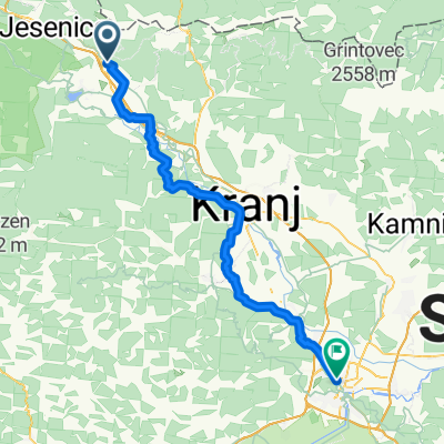 Selo pri Žirovnici naar Celovška cesta