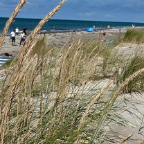 Wieck a.d. Darß zum Weststrand durch den Darßer Urwald