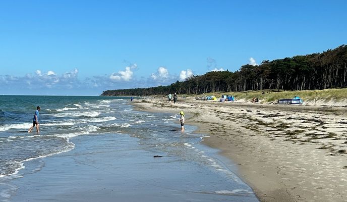 Foto 2 de la ruta de Bikemap "Wieck a.d. Darß zum Weststrand durch den Darßer Urwald" Foto 2 de la ruta de Bikemap "Wieck a.d. Darß zum Weststrand durch den Darßer Urwald"