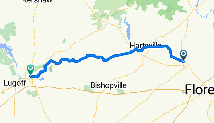 Darlington - Camden