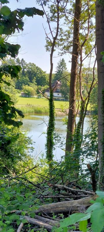 Gerold Damm nach Plöner Straße