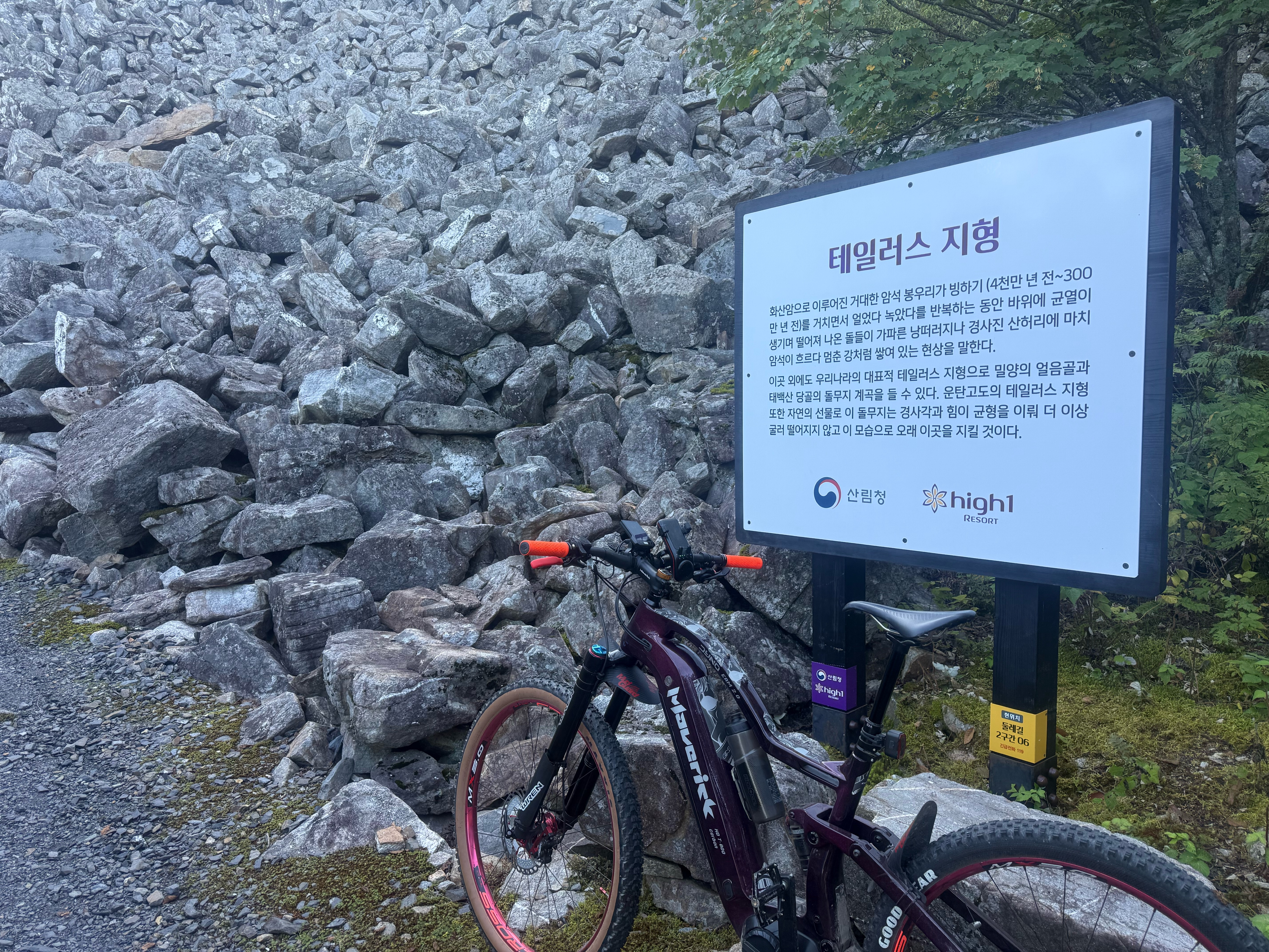 정선군에서 정선군까지