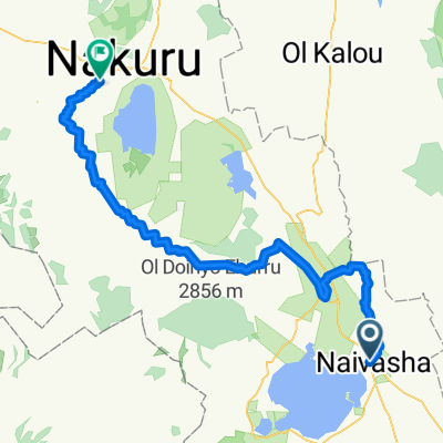 To Naivasha