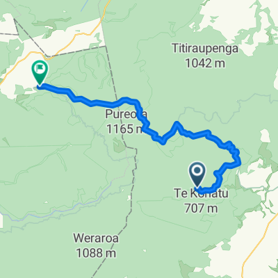 Pureora to Te Araroa Trail, Pureora