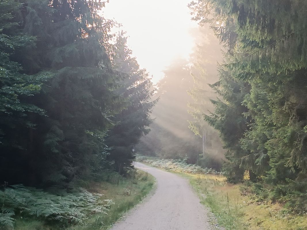 Staatza Laufrunde