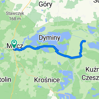 Dzień 2: W sercu ptasiego raju – Pętla Milicz - Stawy - Potasznia - Dzień 2: Pętla Stawów Milickich