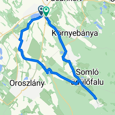 81323-as mellékút, Környe - Rákóczi Ferenc utca, Környe