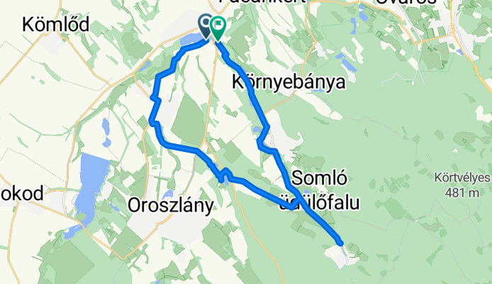 81323-as mellékút, Környe - Rákóczi Ferenc utca, Környe