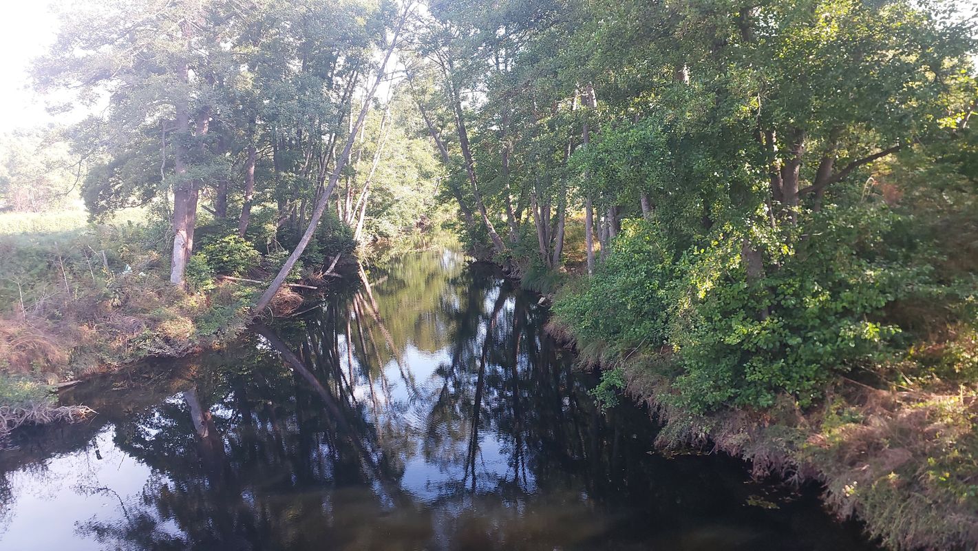 Приморско-Лозинец-Фазаново-Письменово-Приморско