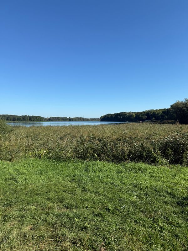 Polna, Suchy Las do Wiśniowa, Trzek