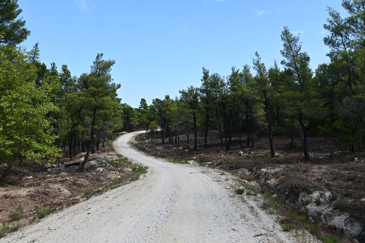 Parthenonas - Itamos - Livadia