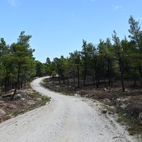 Parthenonas - Itamos - Livadia