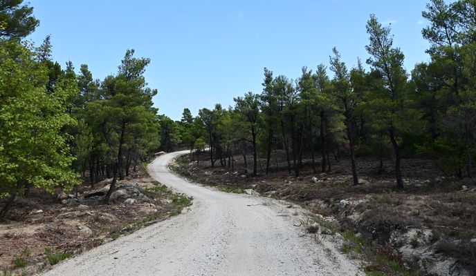 Photo 1 of the Bikemap route "Parthenonas - Itamos - Livadia"