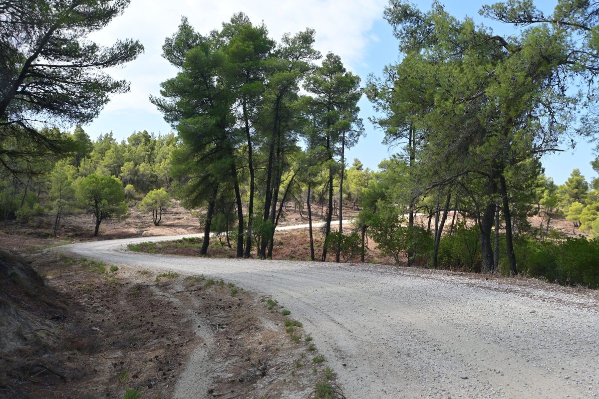 Parthenonas - Itamos - Livadia