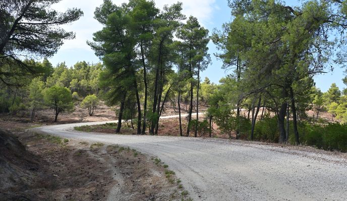 Photo 2 of the Bikemap route "Parthenonas - Itamos - Livadia"