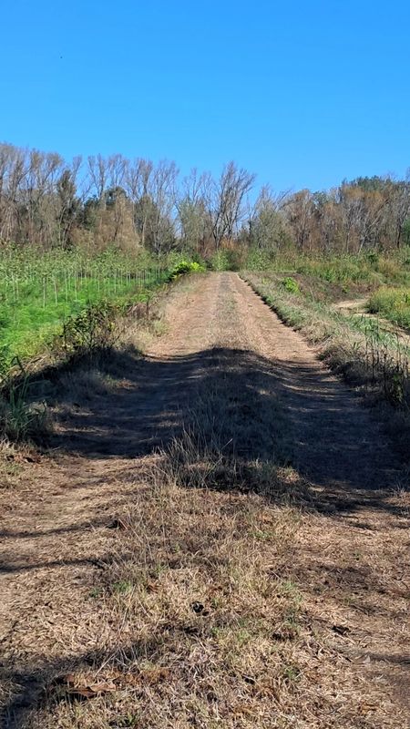 Da Via Aldo Moro a Via Aldo Moro