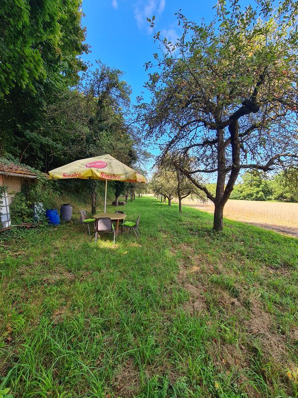 Schweinsgrube nach Holzmarkt