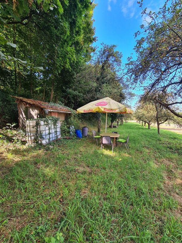 Schweinsgrube nach Holzmarkt