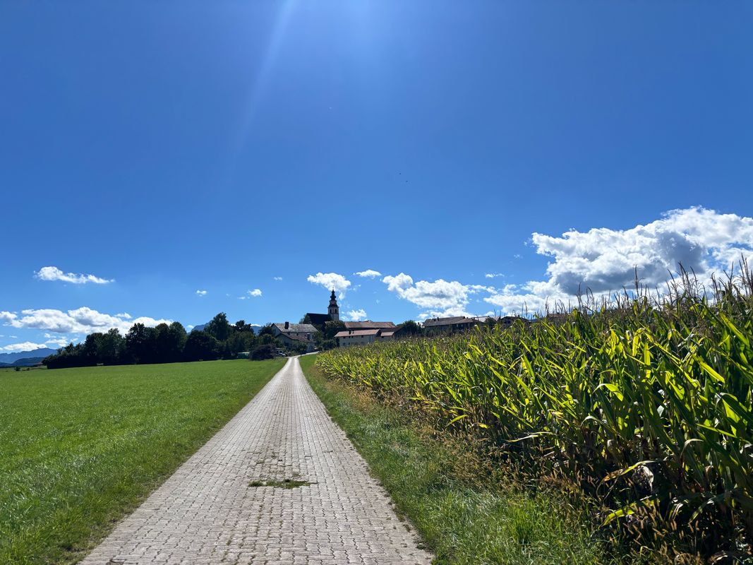 Salzburg | rund um den Waginger See