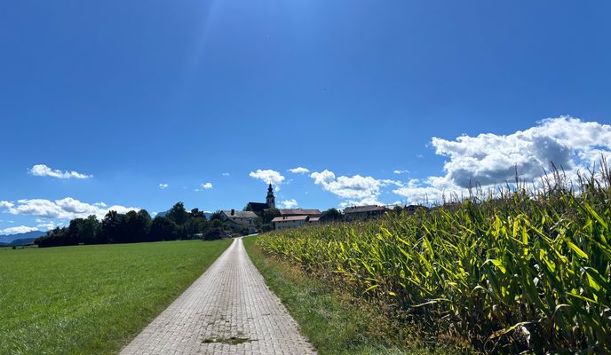 Photo 2 of the Bikemap route "Salzburg | rund um den Waginger See"