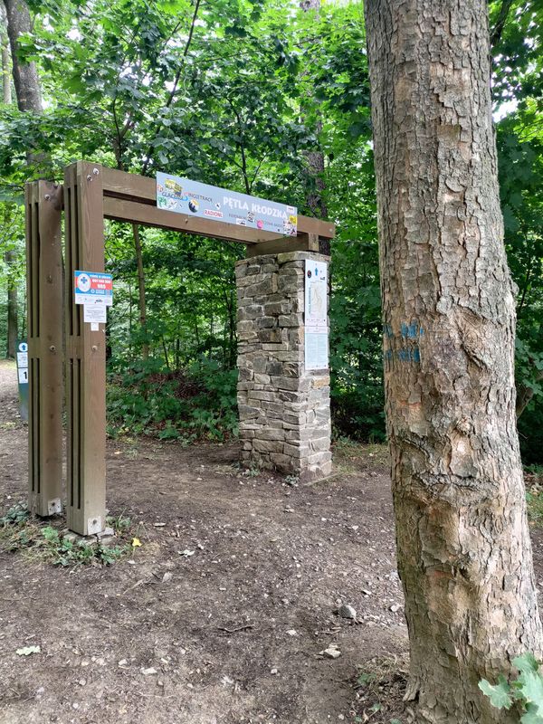 Grunwaldzka do Grunwaldzka