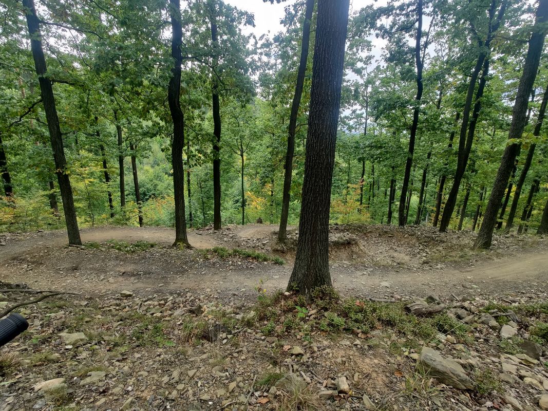 Grunwaldzka do Grunwaldzka